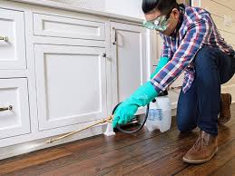 Best Real Estate Pest Inspections  in Upper Lake, CA